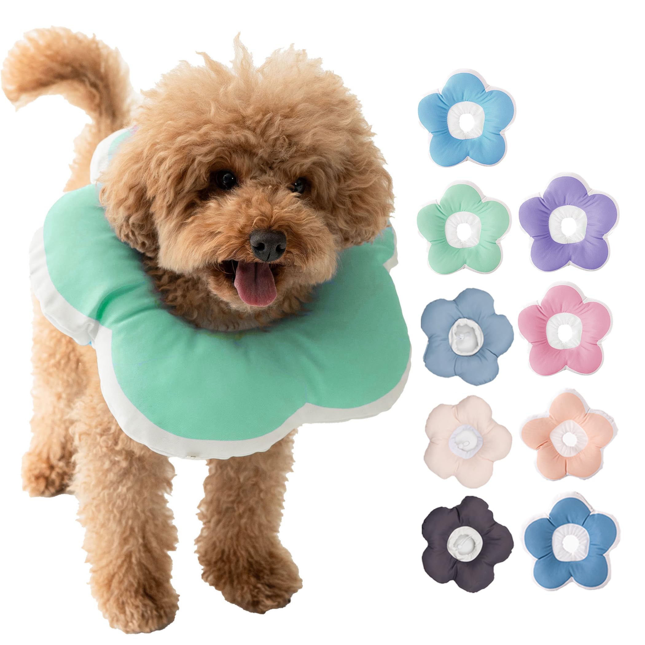 Amazon | [いぬのくらし] エリザベスカラー 犬 傷舐め防止 猫 ソフト